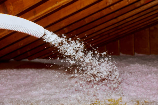 Best Spray Foam Insulation in Centreville, MS