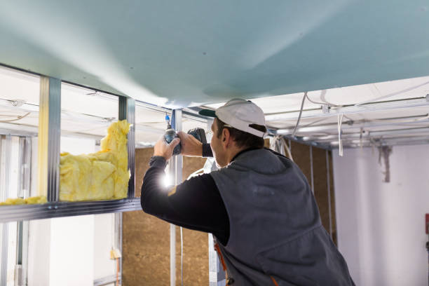 Best Spray Foam Insulation in Centreville, MS