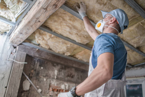 Professional Insulation Contractor in Centreville, MS