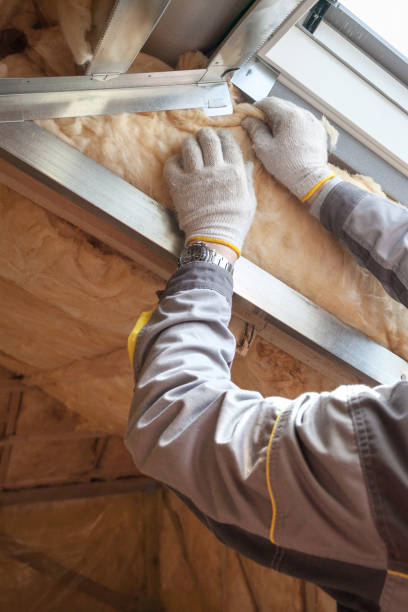Best DIY Insulation Kits and Guidance in Centreville, MS