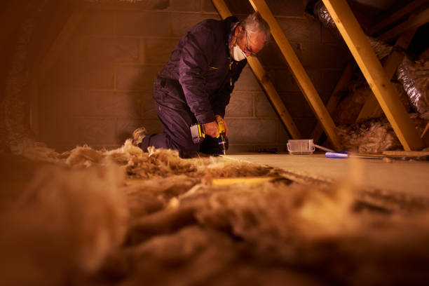 Best Eco-Friendly Insulation in Centreville, MS